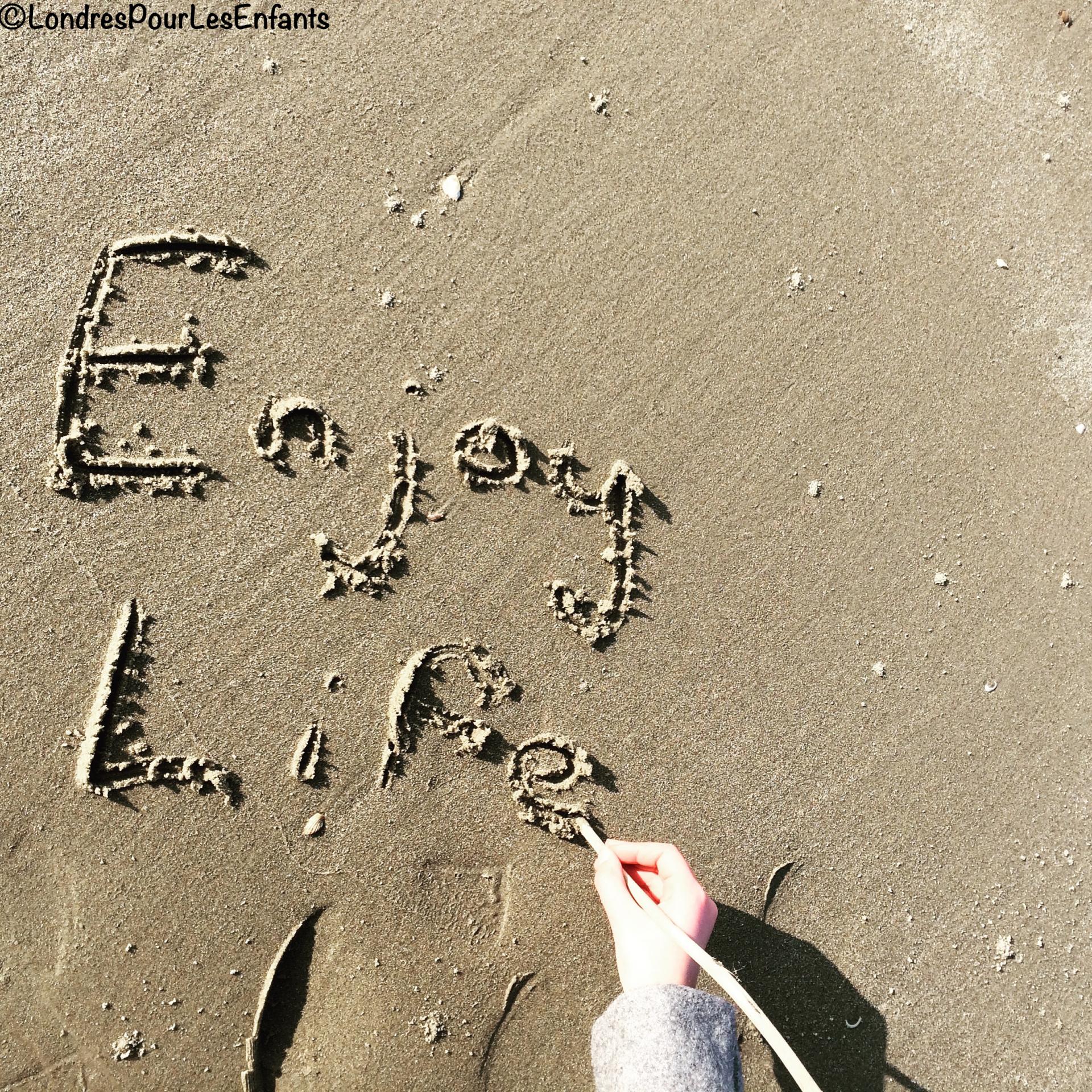 Enjoy Life