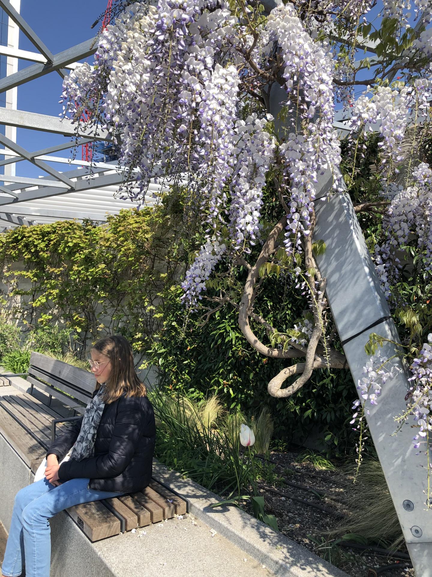 The Garden at 120